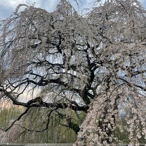 Meet your Posher, Nadia